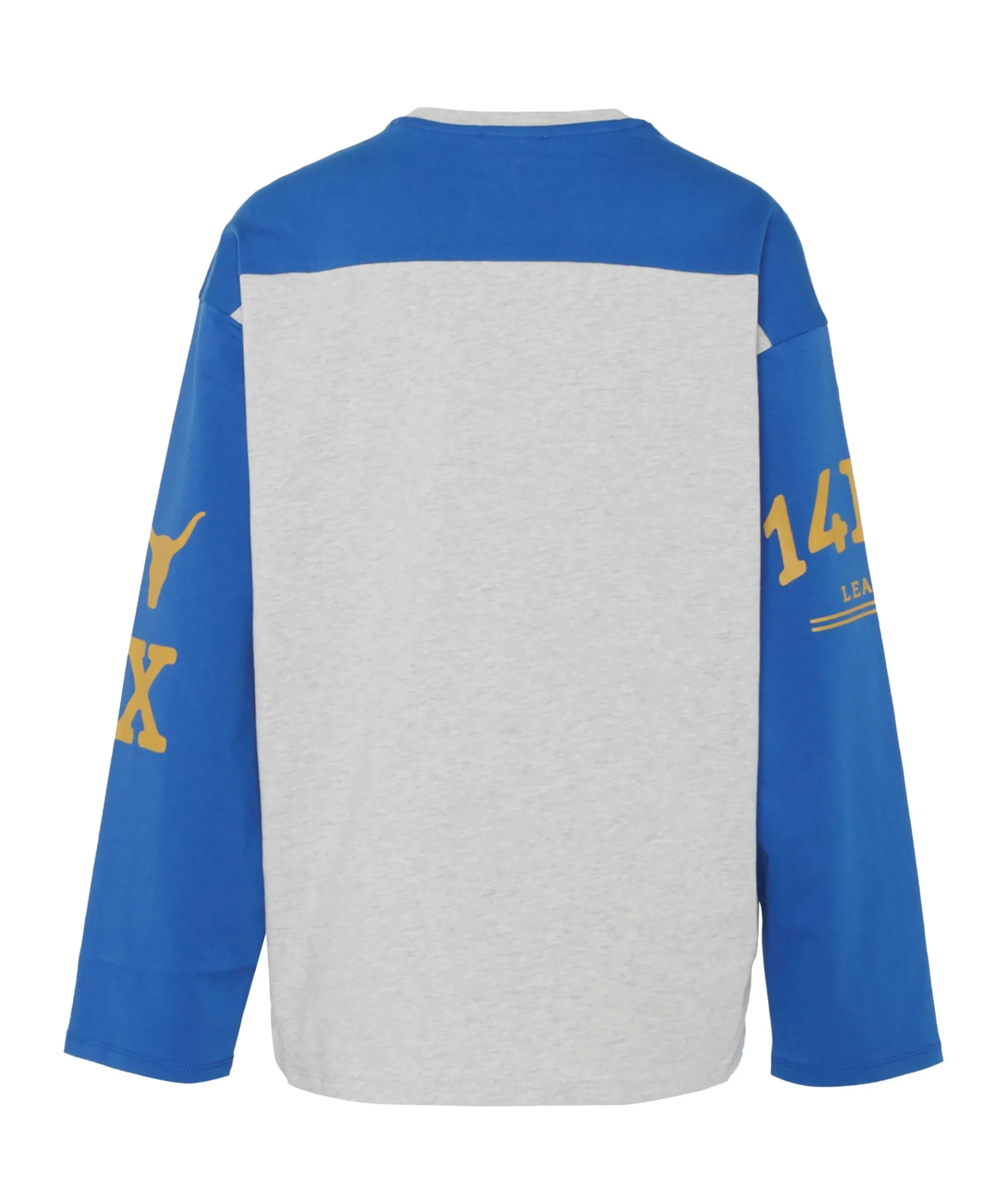 Dames longsleeve grijs