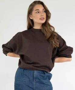 Dames sweater bruin