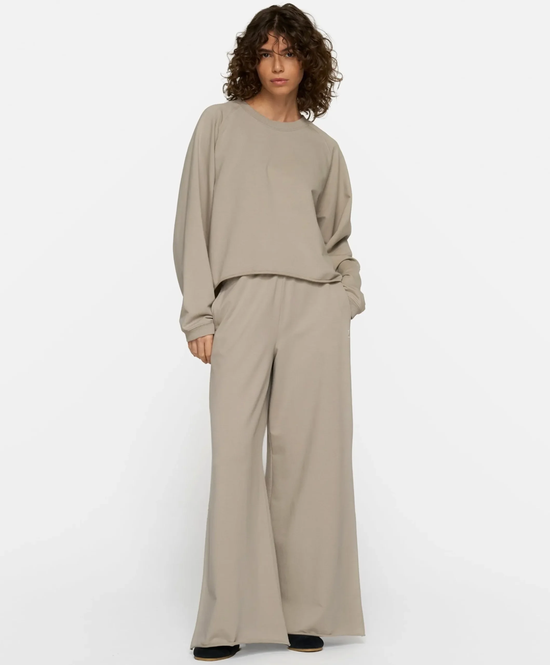 Dames sweater grijs