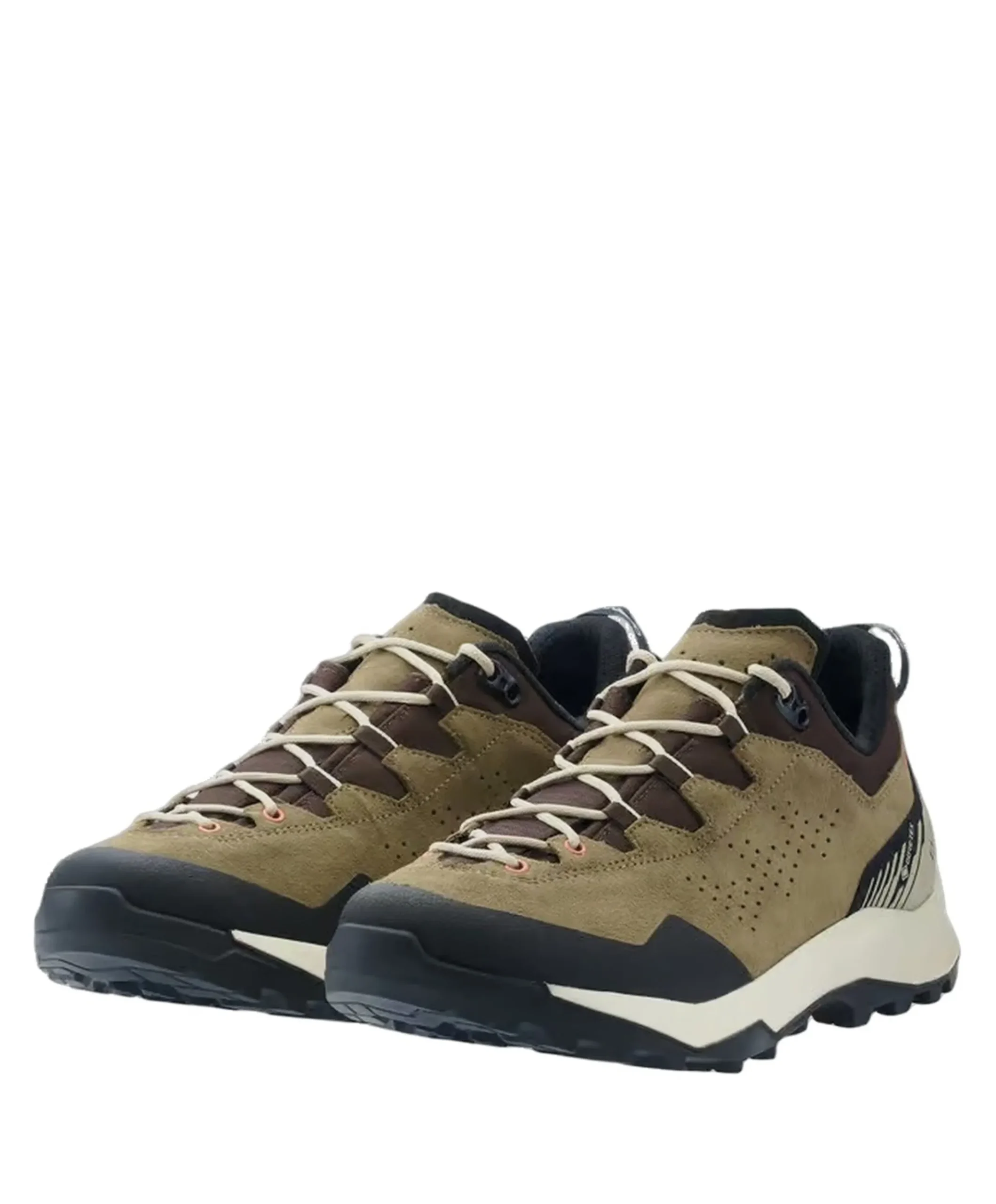 Explorer GTX Lo heren wandelschoenen bruin