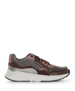 Golden Gate Lady dames sneakers bordeaux