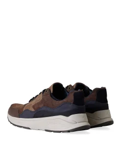 Golden Gate Men heren sneakers bruin