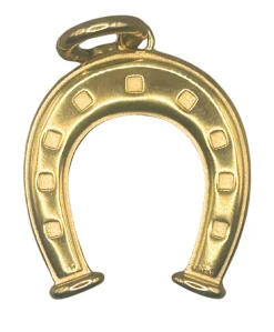 Hanger goud