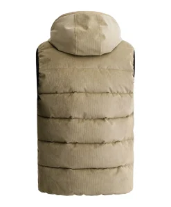 Heren bodywarmer groen