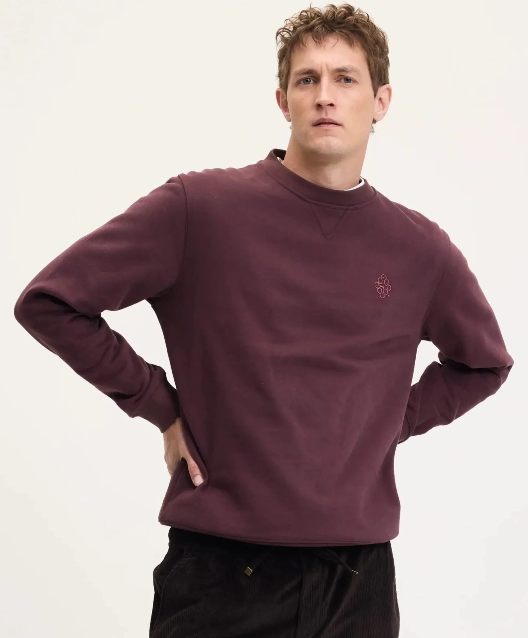 Heren sweater bordeaux