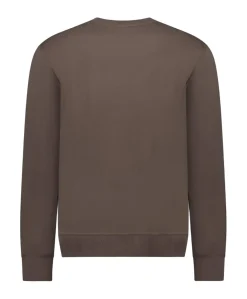 Heren sweater bruin