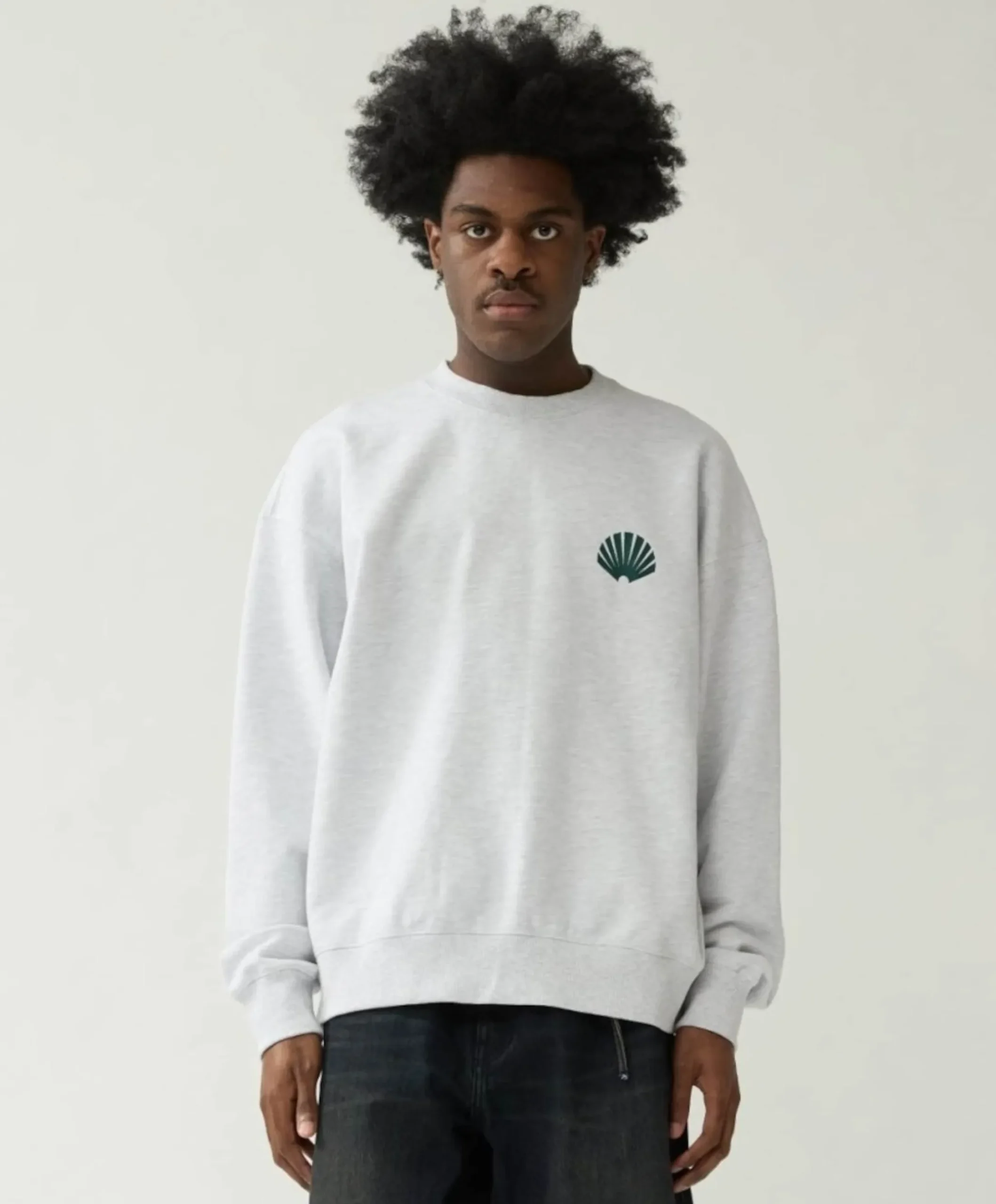 Heren sweater grijs