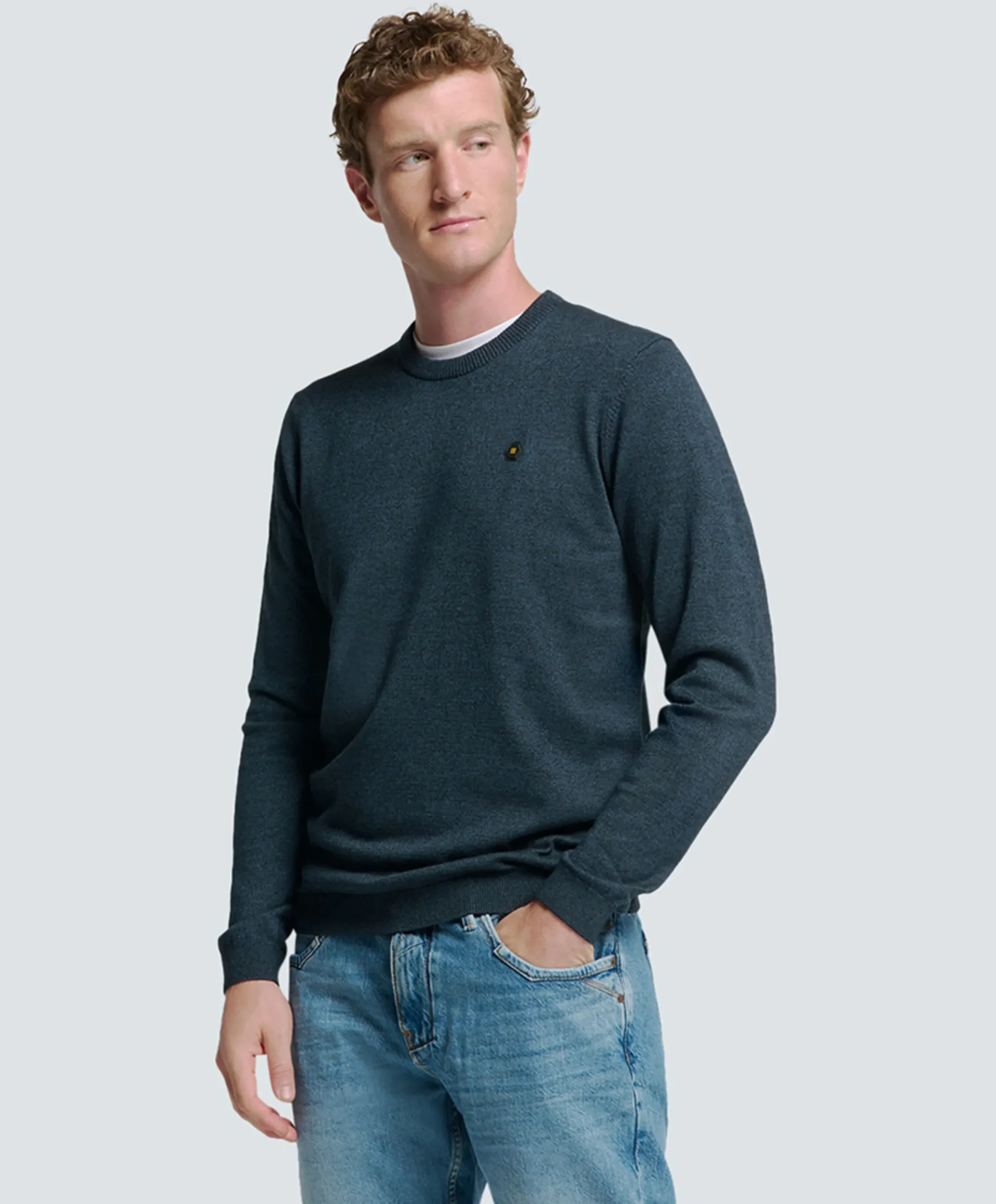 Heren trui blauw