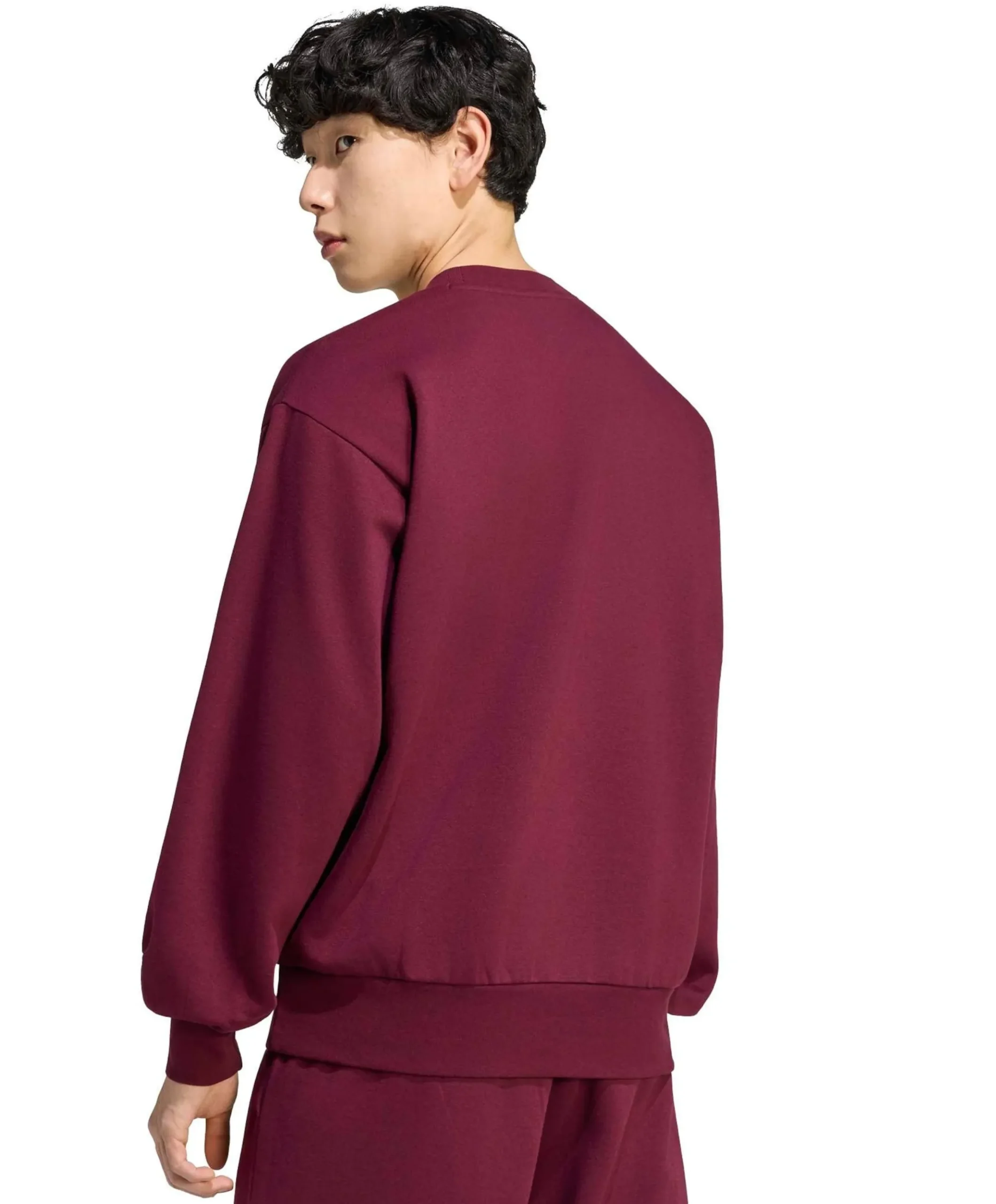 Heren trui bordeaux