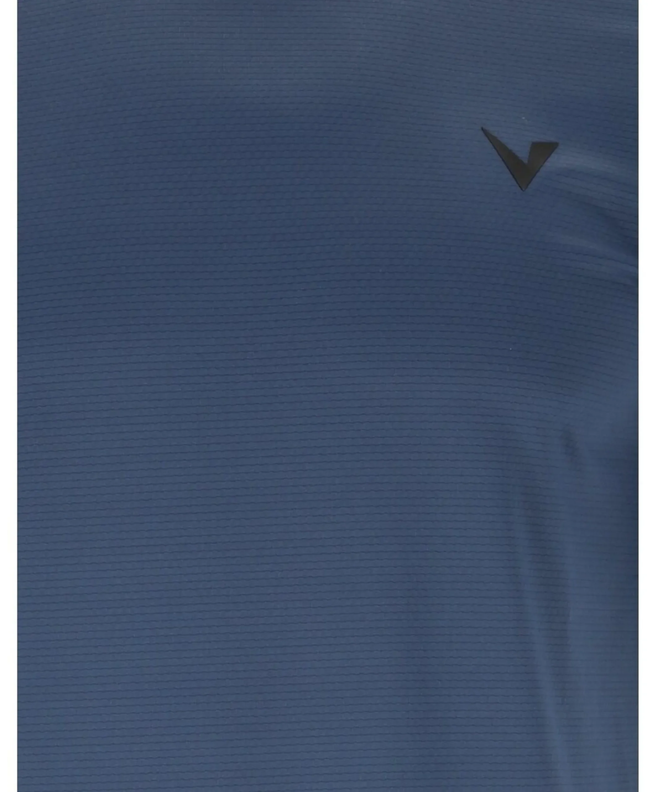 Heren t-shirt blauw