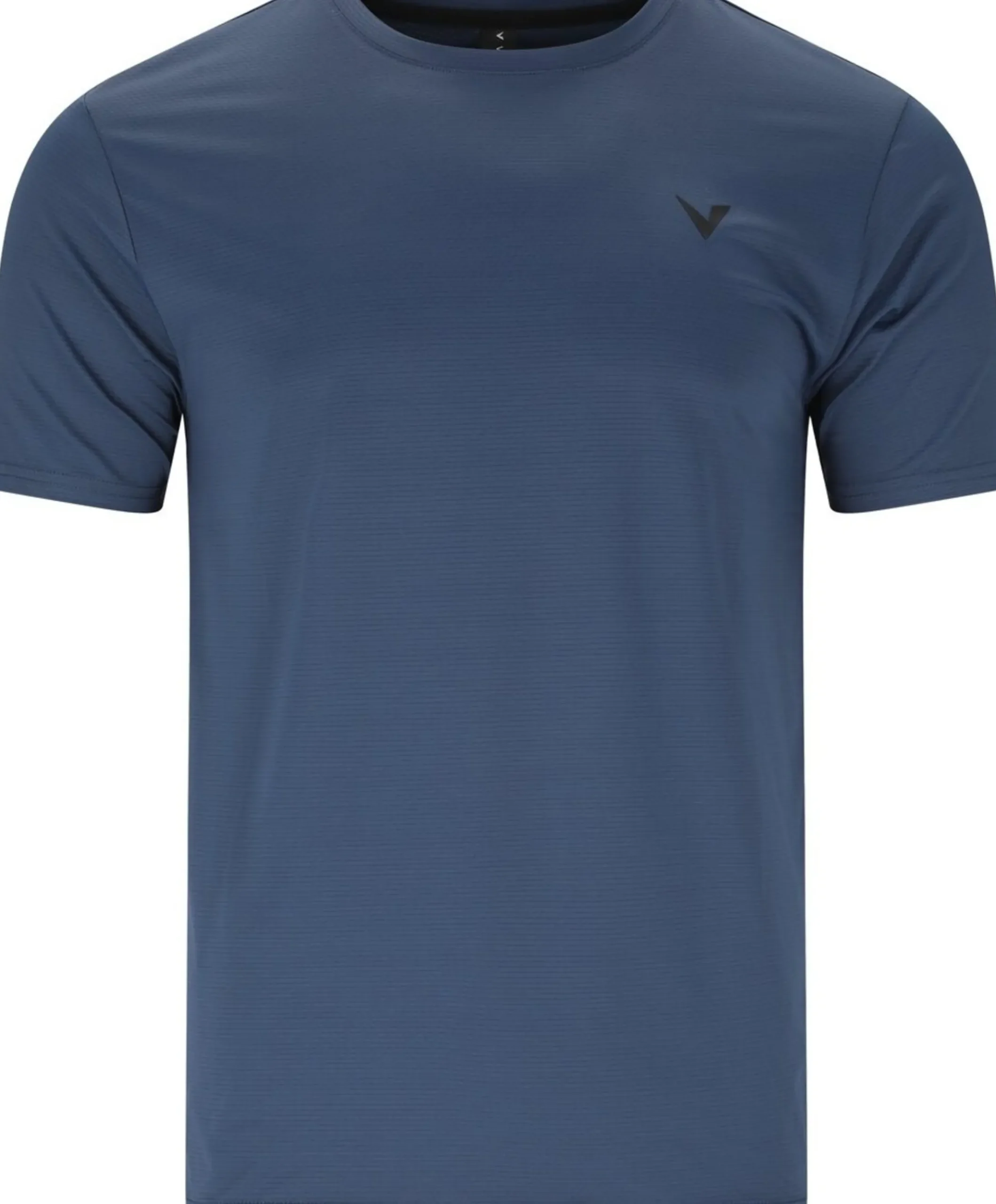 Heren t-shirt blauw