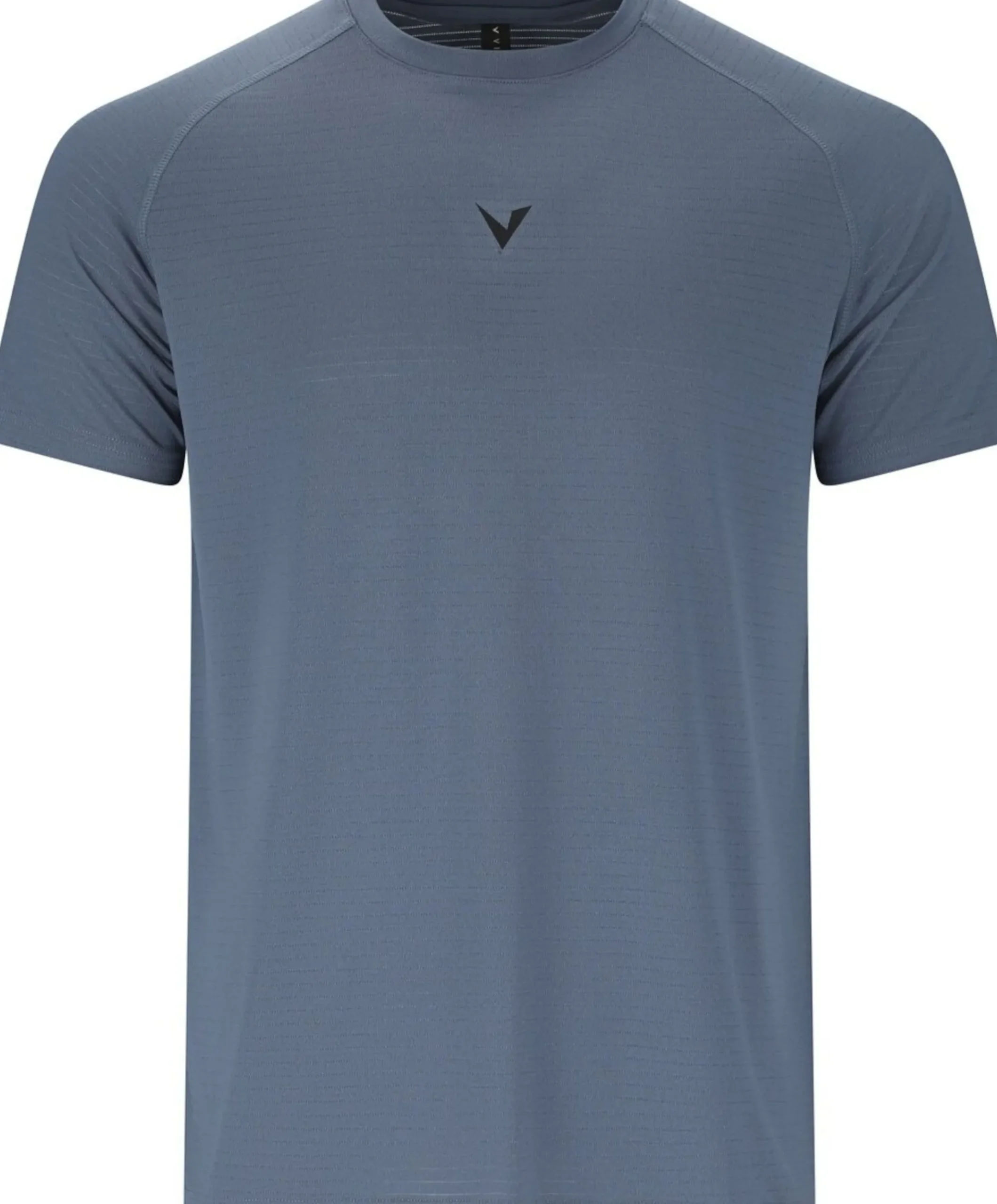 Heren t-shirt blauw