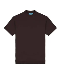 Heren T-shirt bruin