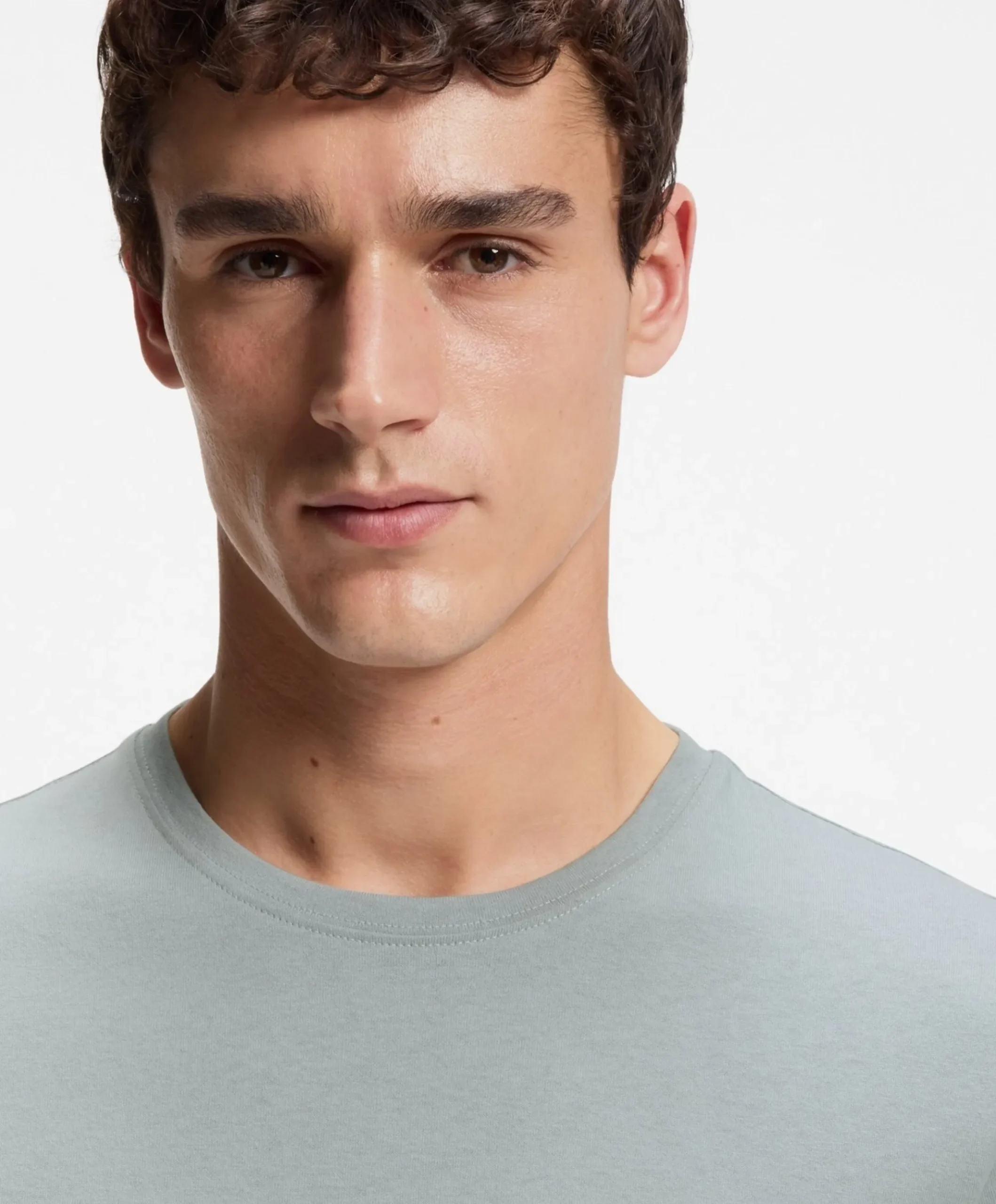 Heren T-shirt grijs