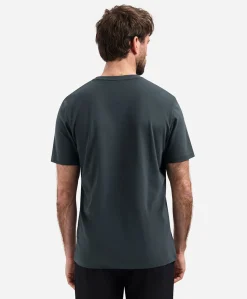 Heren T-shirt grijs