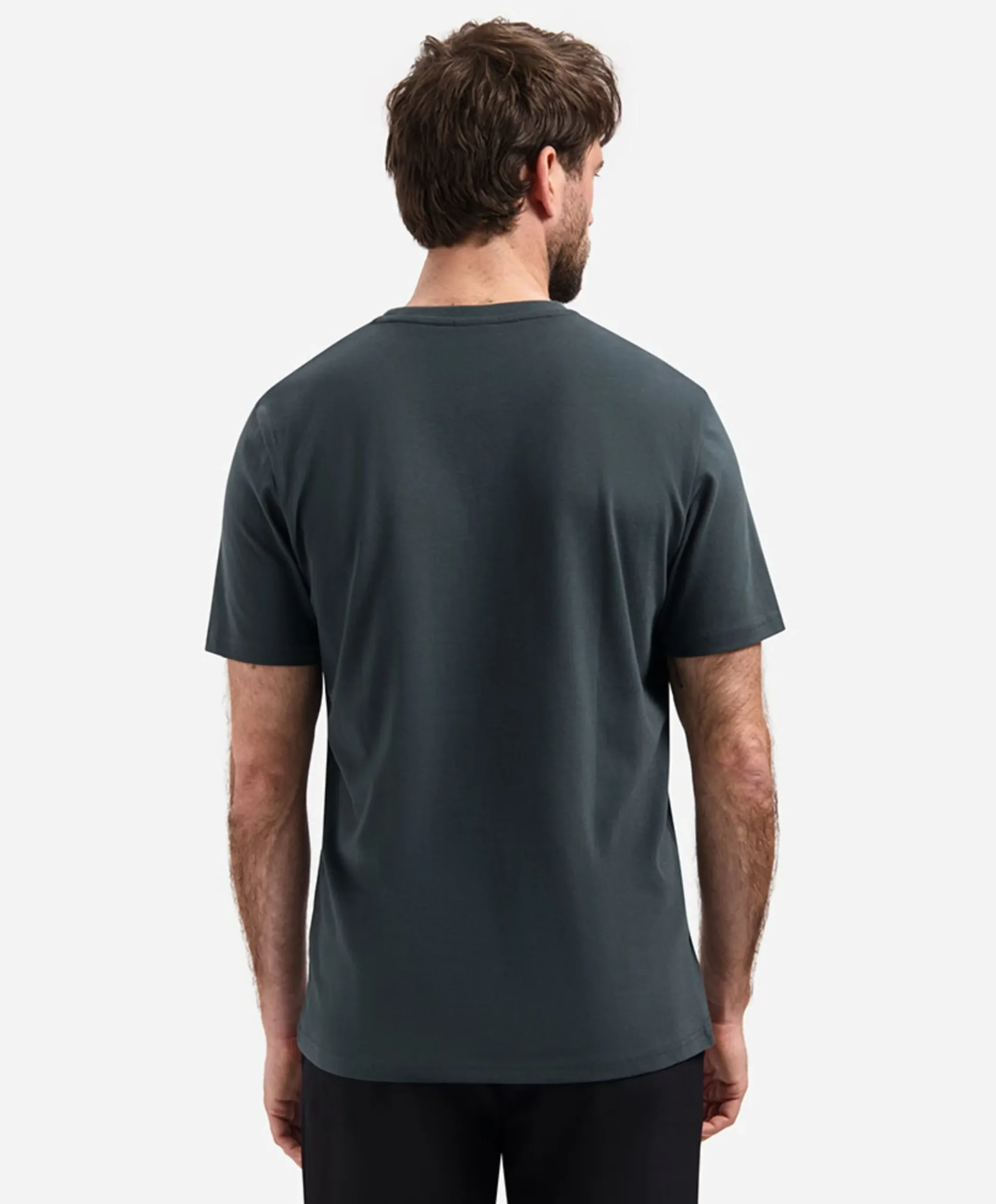 Heren T-shirt grijs