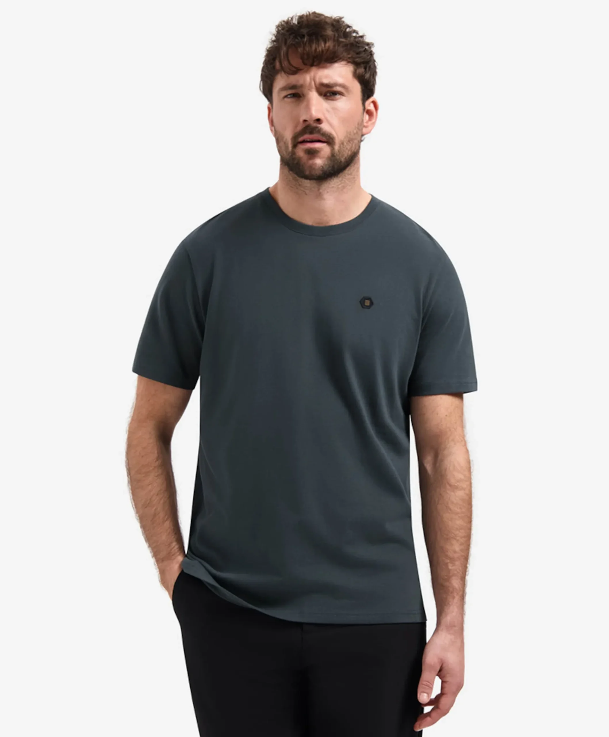 Heren T-shirt grijs
