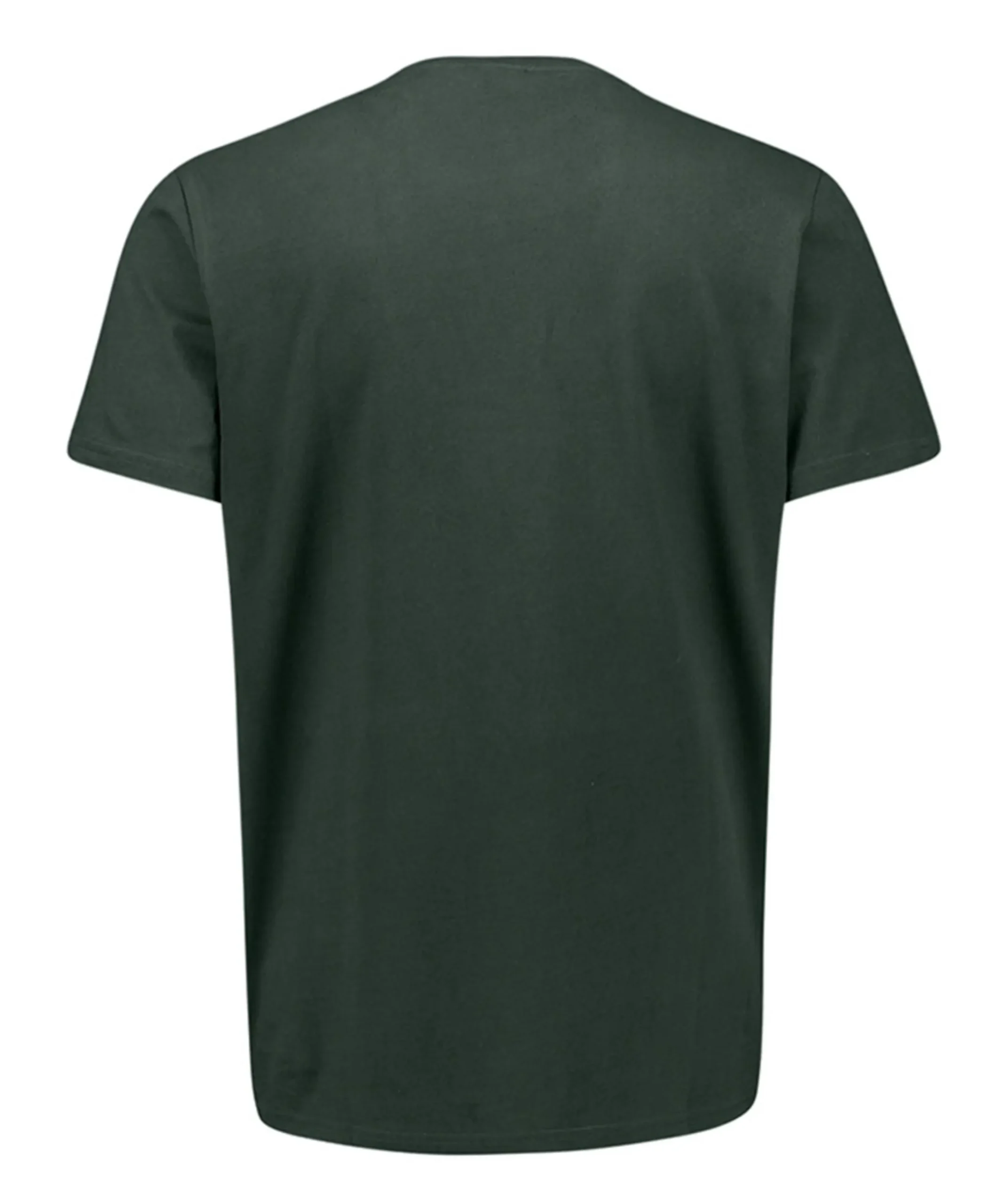 Heren T-shirt grijs