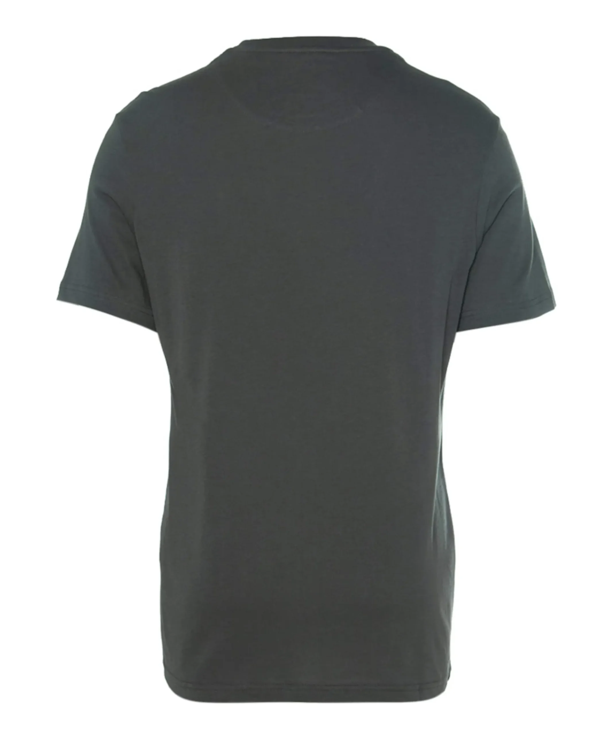 Heren T-shirt grijs