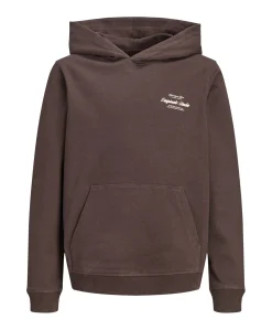 Jongens hoodie bruin