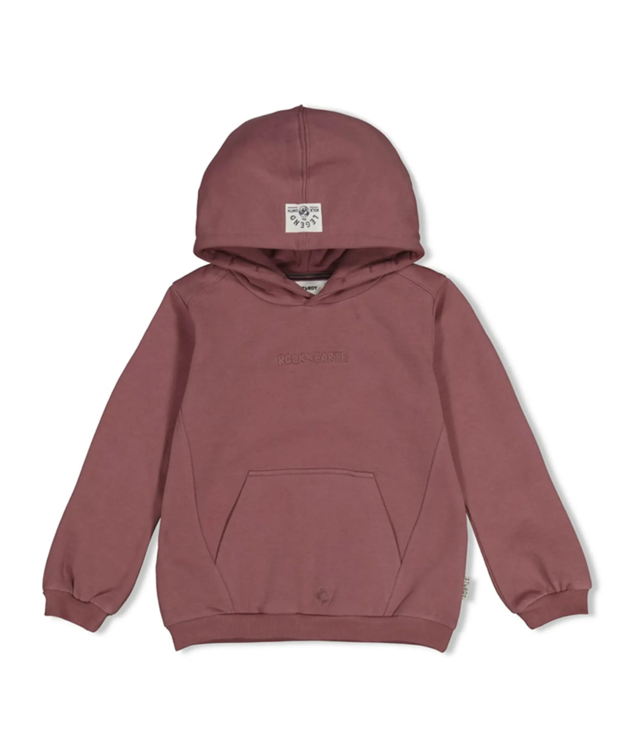 Jongens hoodie paars
