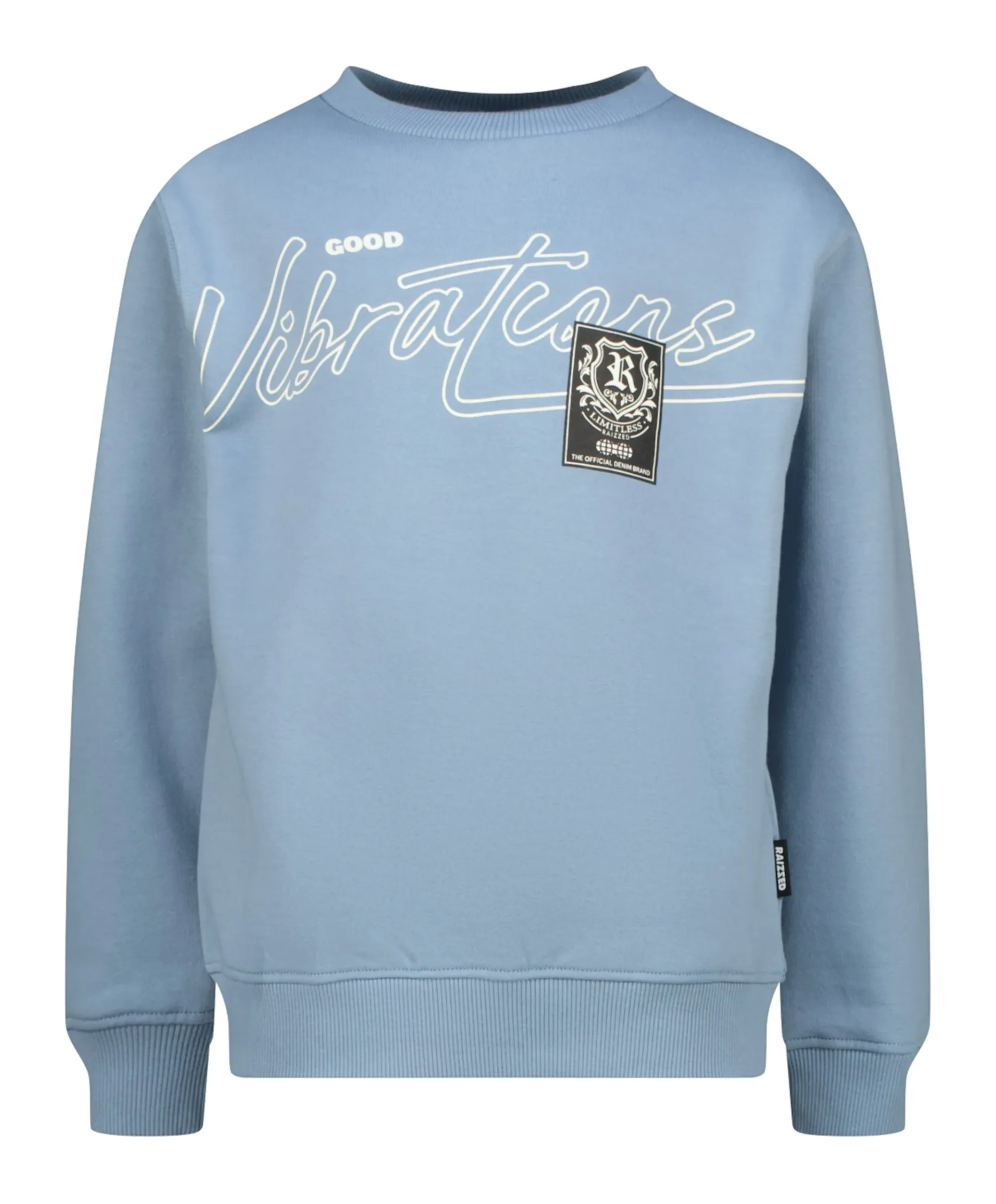 Jongens sweater blauw
