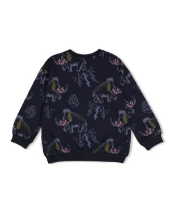 Jongens sweater blauw