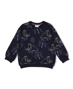 Jongens sweater blauw