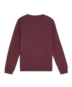 Jongens sweater bordeaux