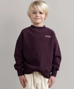 Jongens sweater bordeaux