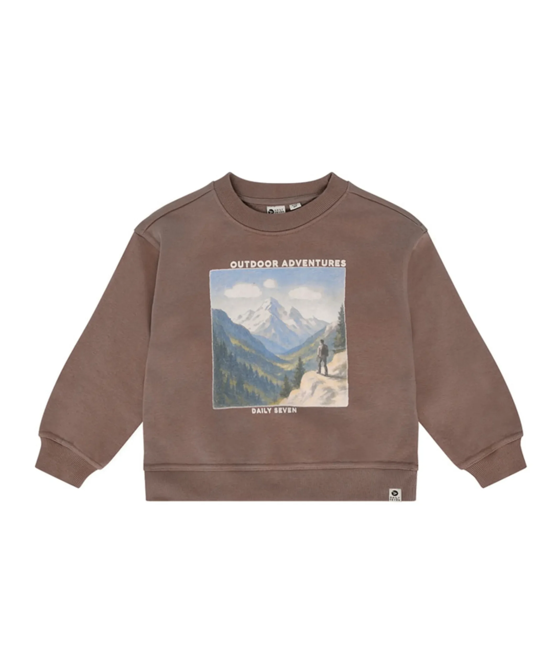 Jongens sweater bruin