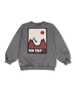 Jongens sweater grijs