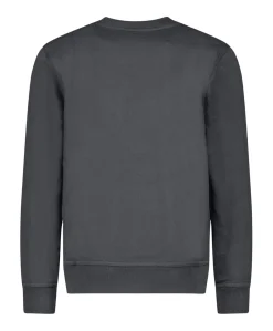 Jongens sweater grijs