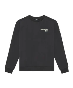 Jongens sweater grijs