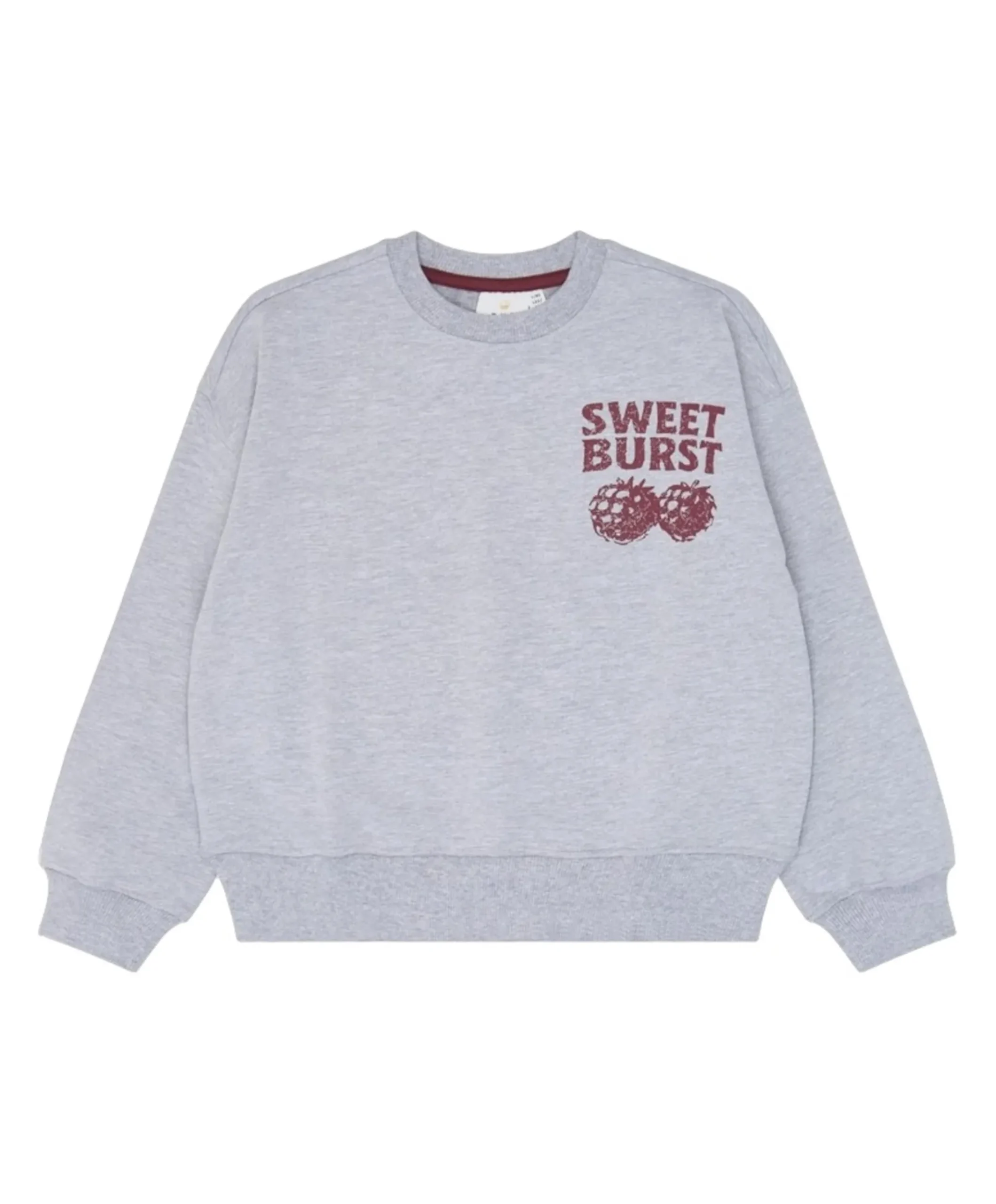Jongens sweater grijs