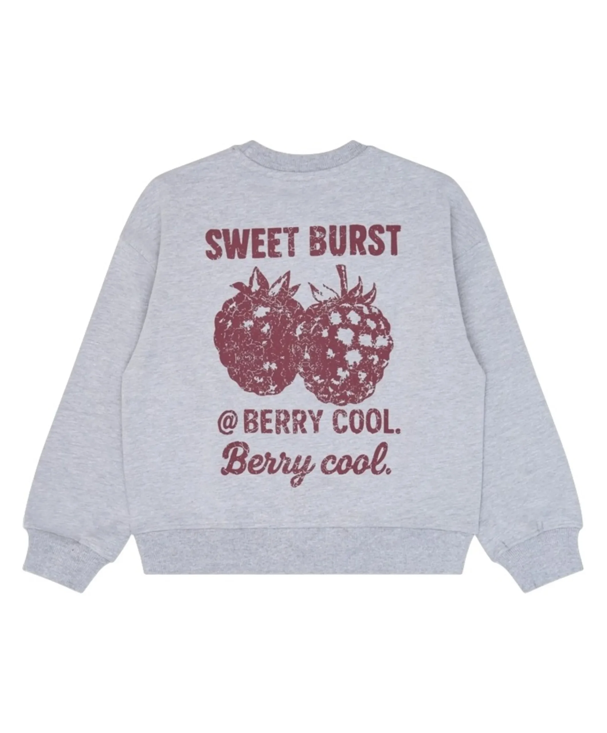 Jongens sweater grijs
