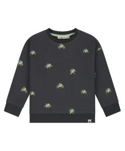 Jongens sweater grijs