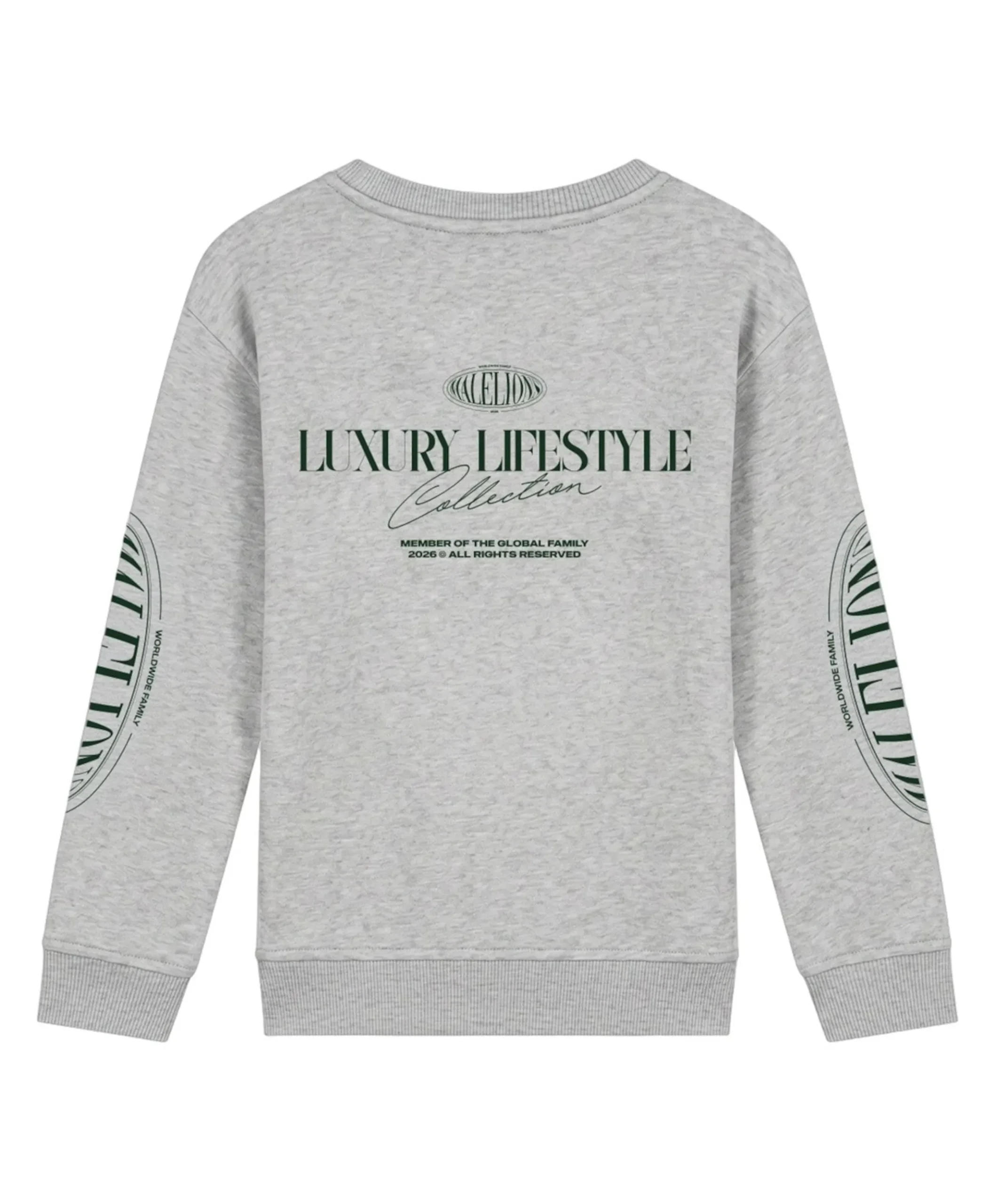 Jongens sweater grijs