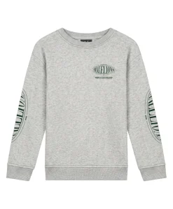 Jongens sweater grijs