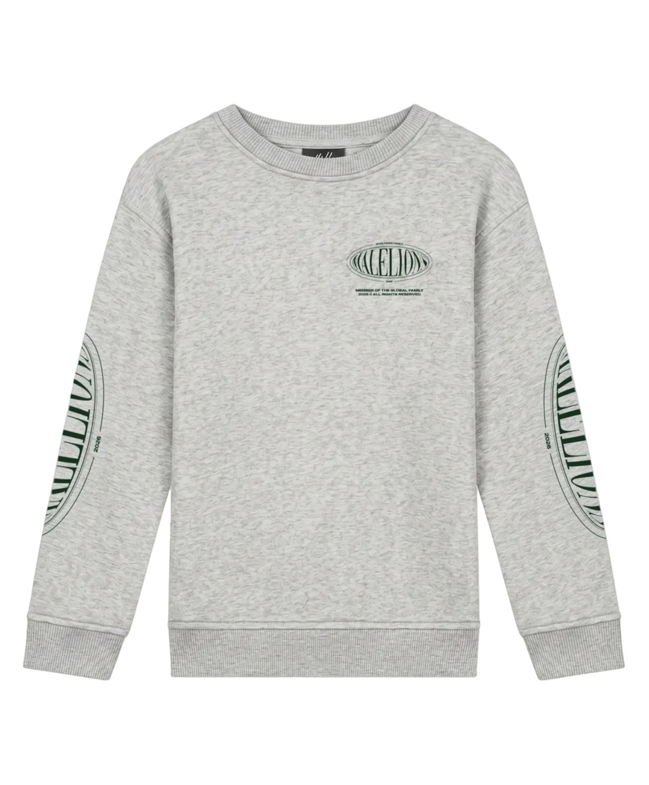Jongens sweater grijs
