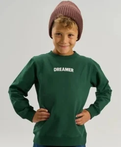 Jongens sweater groen