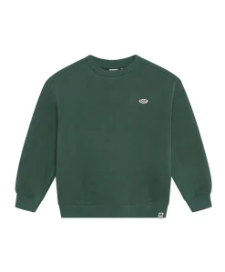Jongens sweater groen