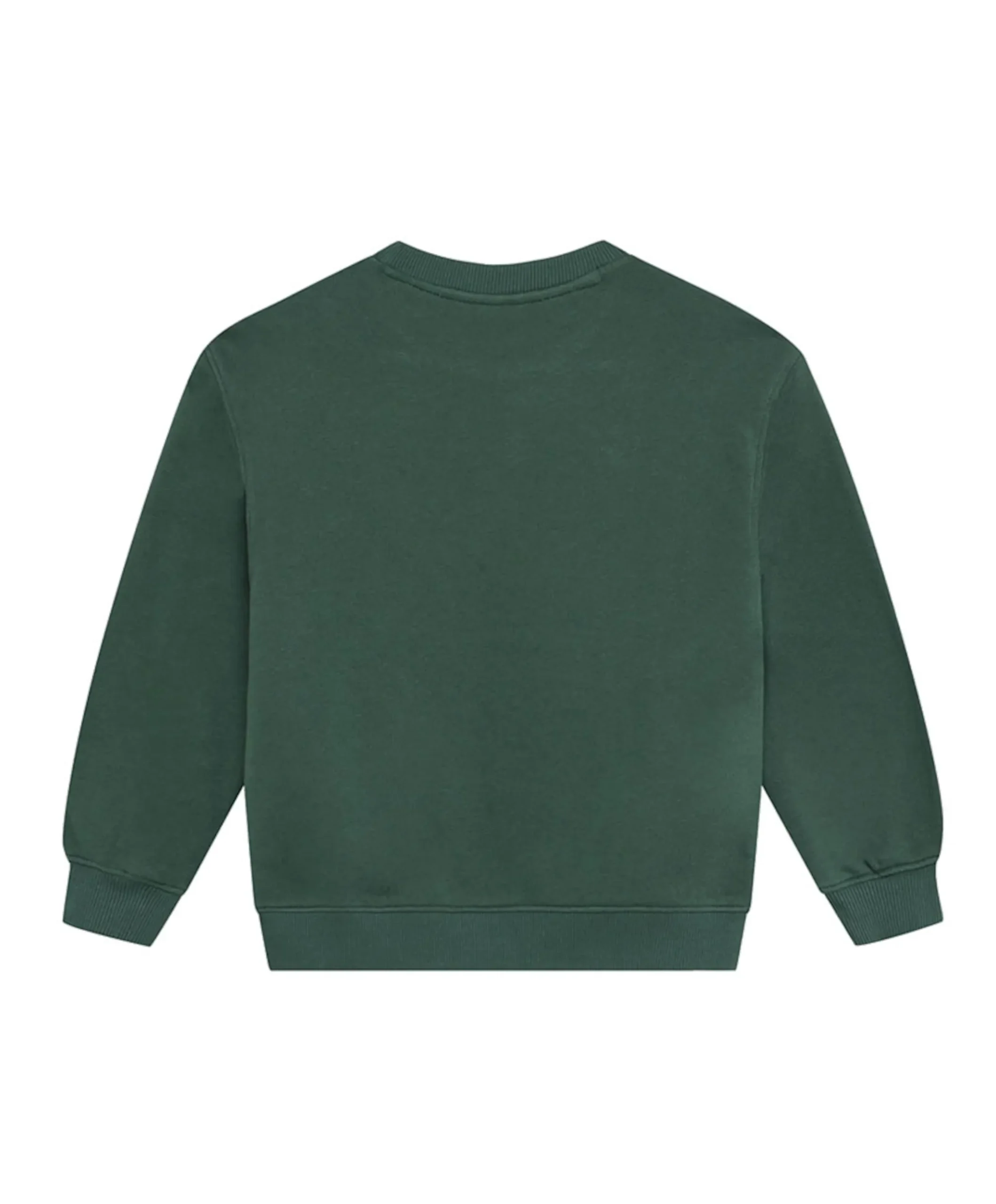 Jongens sweater groen