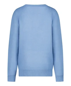 Jongens trui blauw