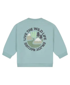 Jongens trui blauw