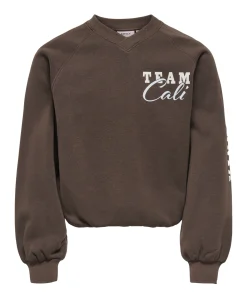 Meisjes sweater bruin