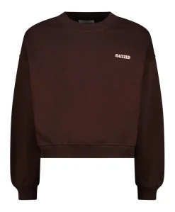 Meisjes sweater bruin