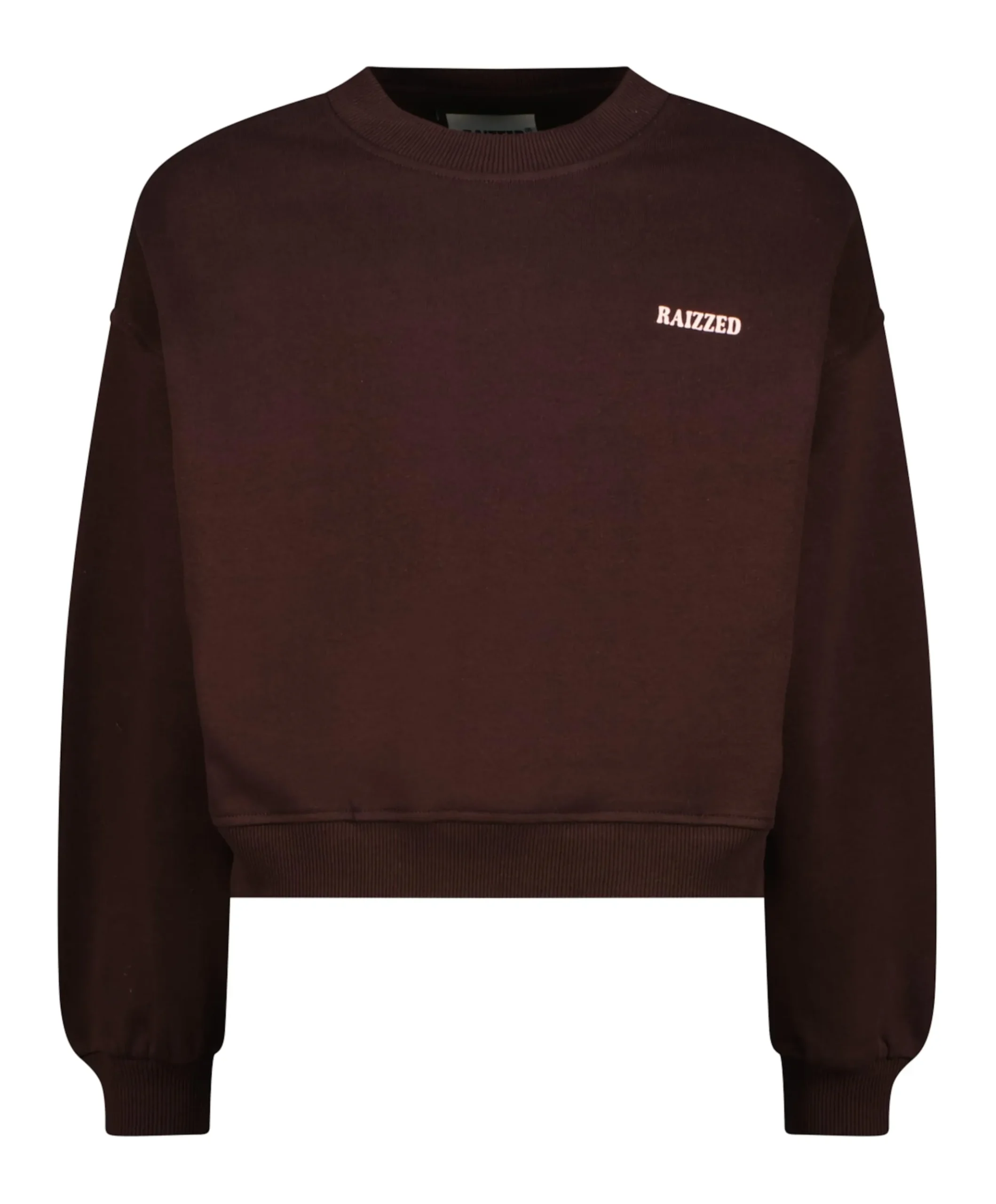 Meisjes sweater bruin