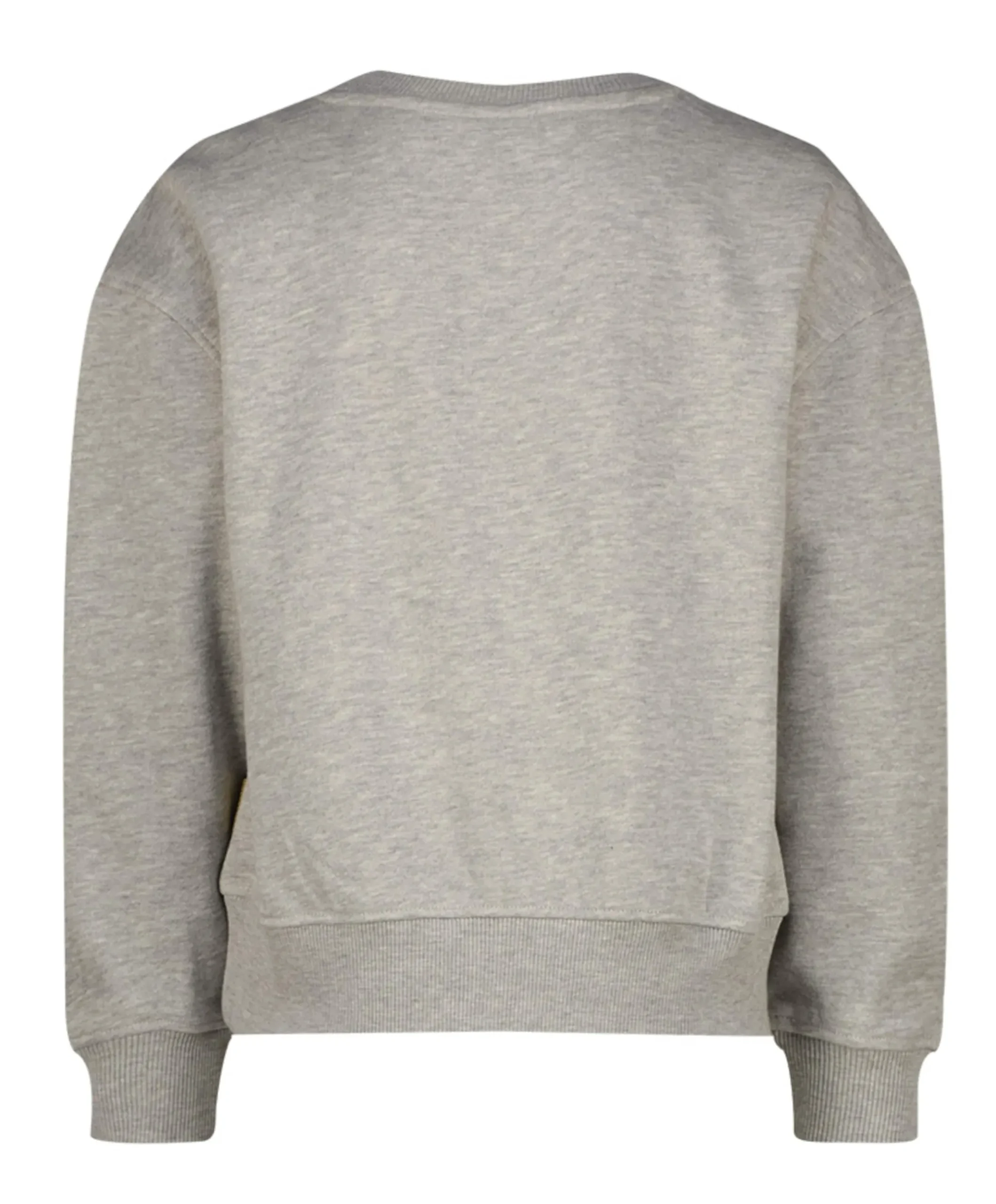 Meisjes sweater grijs