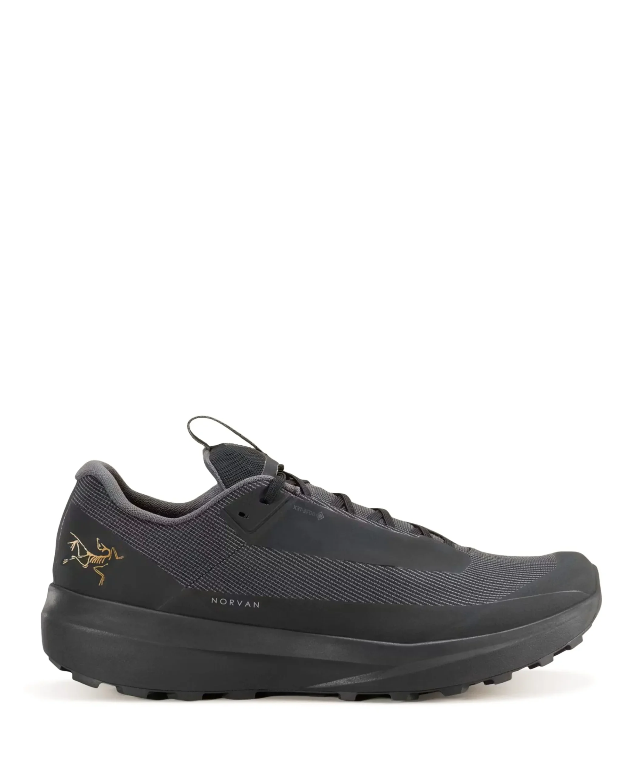 NORVAN LD 4 GTX MEN heren wandelschoenen zwart